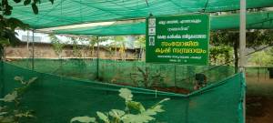 krishi