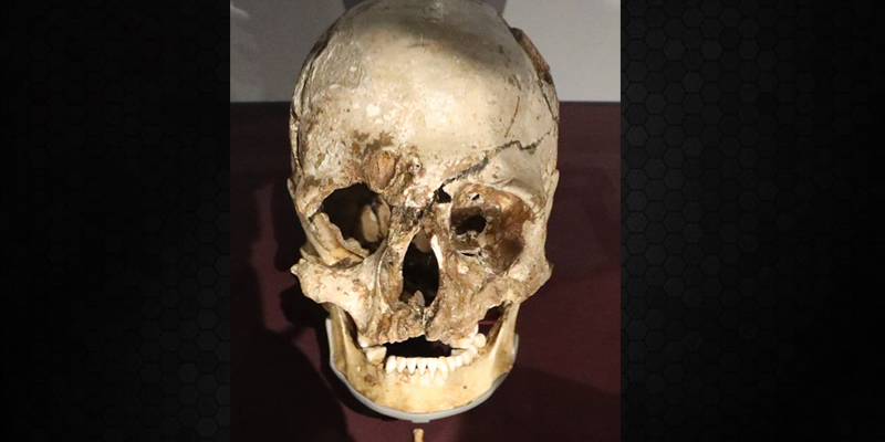 Cheddar Man skeleton
