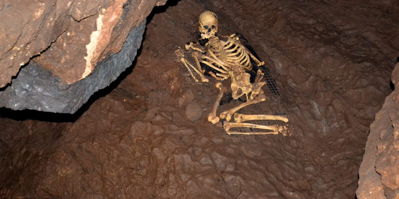Cheddar Man