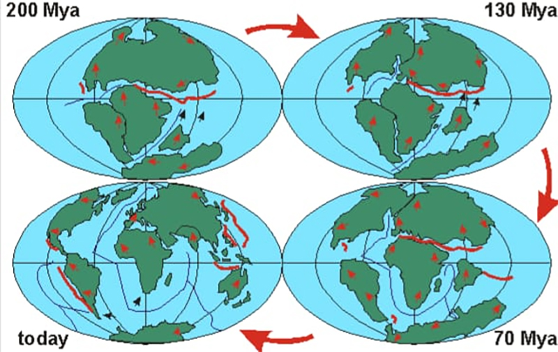 alfred wegener and Theory of Continental Drift 1