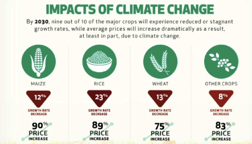 climate change and rising of inflation
