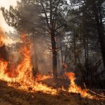 wildfire in europe