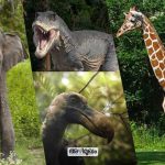 Endangered species