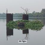 Kakkathuruth bridge