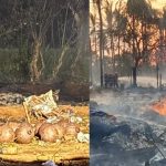 Mundathikode fireworks blast-causes