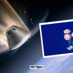 Artemis II mission success