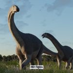 Dinosaur Fossils