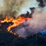 Climate crisis global public health emergency