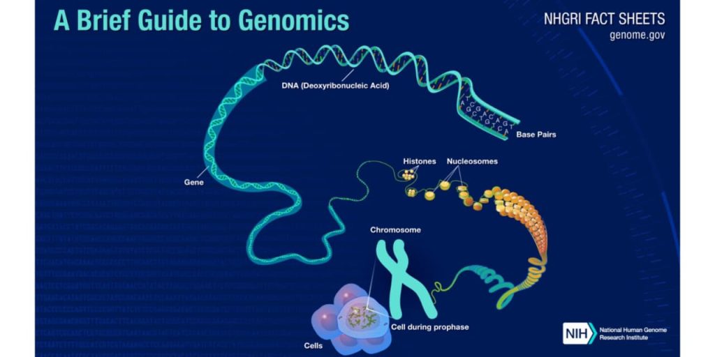 Brief guide to genomics