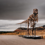 Gus the T.Rex was sold to an anonymous bidder on the phone. Matthew Sherman