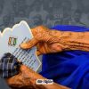 india-democratic-erosion-constitutional-rights